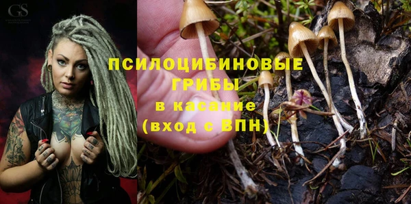 марки nbome Кинешма